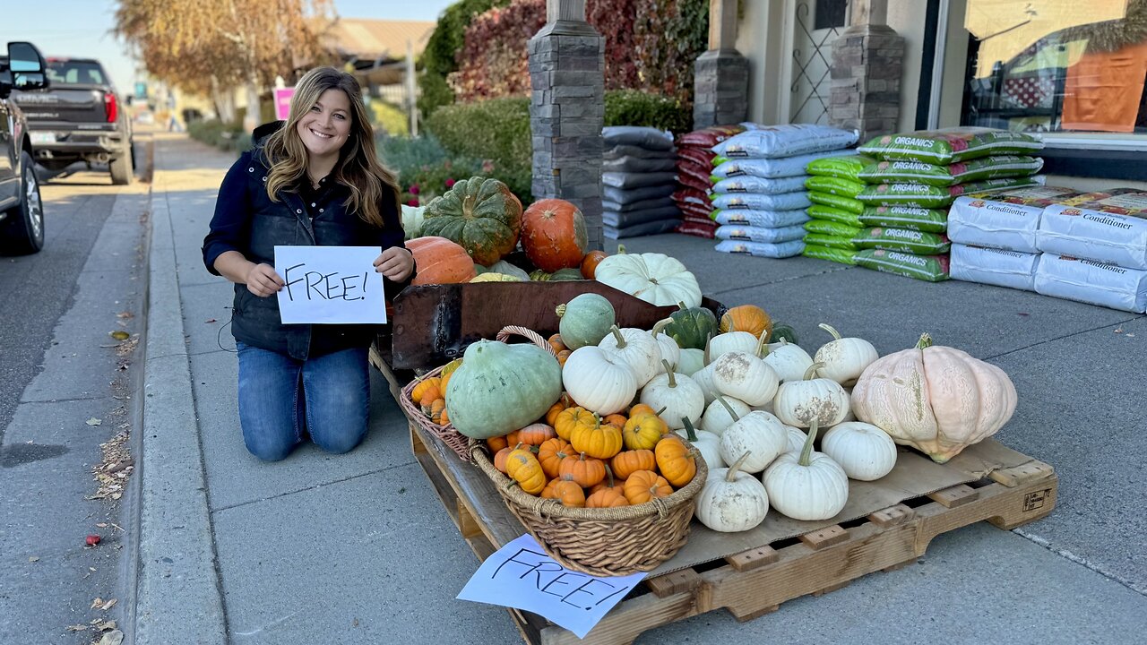 Giving Away Pumpkins, Planting a Redwood From Alaska & Evergreens for the Dumpster Urns! 🌲🎃🌲