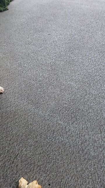 Cool breeze 1511 hrs 45 north