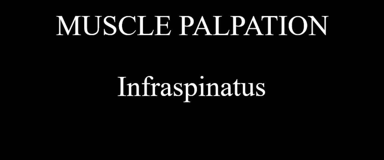 Muscle Palpation - Infraspinatus