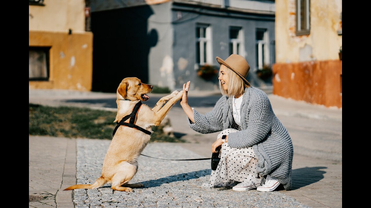 Dog Mistakes Furry Hood For a Toy _ Drags Owner Around The Backyard