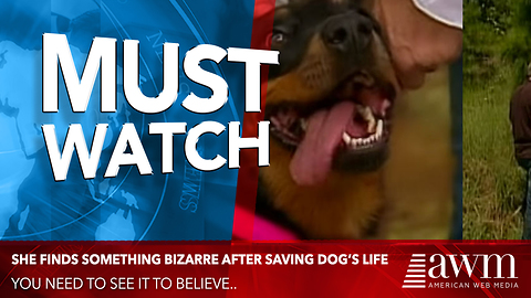 She Saved His Life, Then The Canine Led Her To Spot In The Woods That Changed Everything