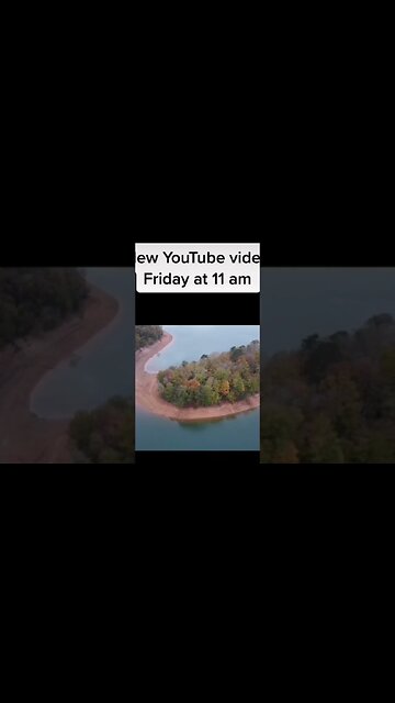 #shorts #youtube #bushcraft #camping