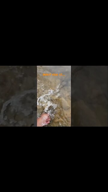 Wait For It #bassfishing #catchandrelease #slowmotion #largemouthbassfishing