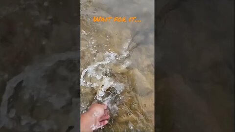 Wait For It #bassfishing #catchandrelease #slowmotion #largemouthbassfishing