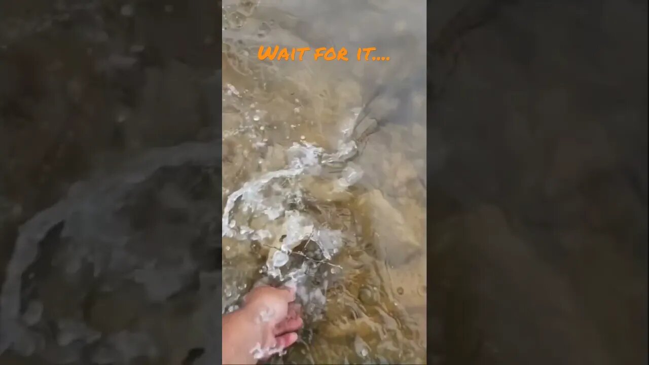 Wait For It #bassfishing #catchandrelease #slowmotion #largemouthbassfishing