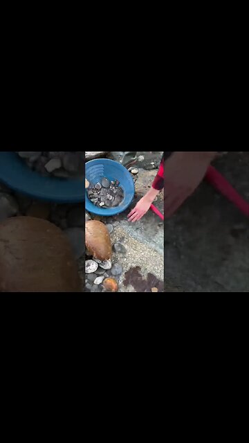 Prospecting and panning to strike big gold!