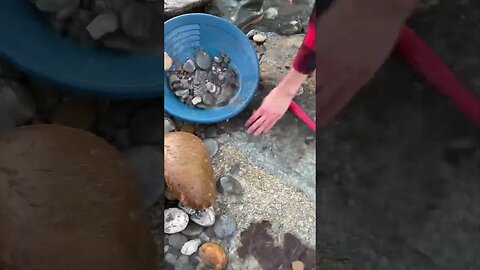 Prospecting and panning to strike big gold!