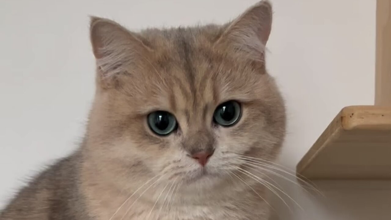 The cutest thing you'll see today