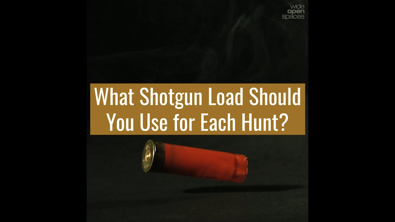 What Shotgun Load Should Be Used for Each Hunt?