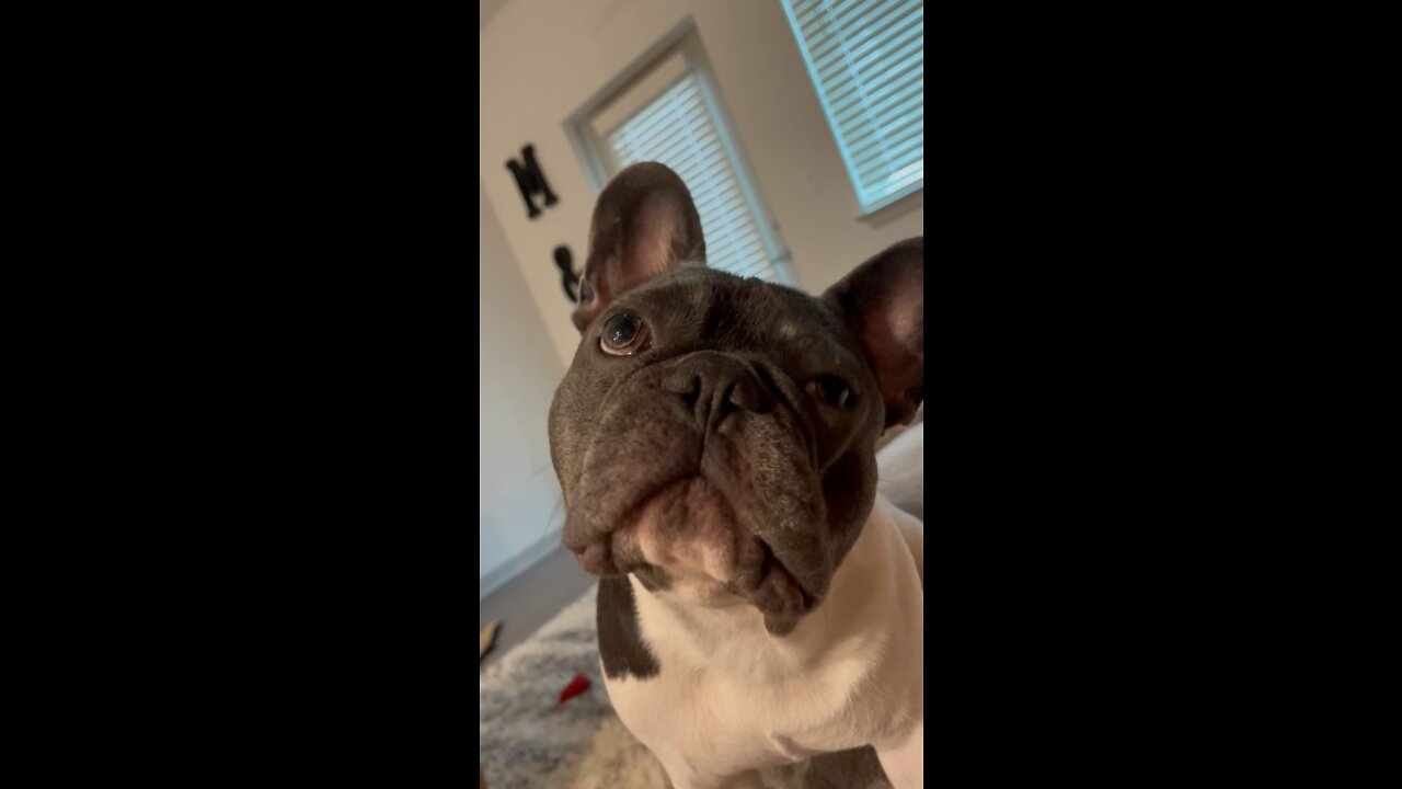 “Where is juice?”