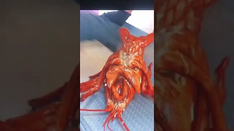 Giant Lobster so Yummy. Pls Like, Subscribe & Comment. #shorts #mukbang #korean #foodvlogger