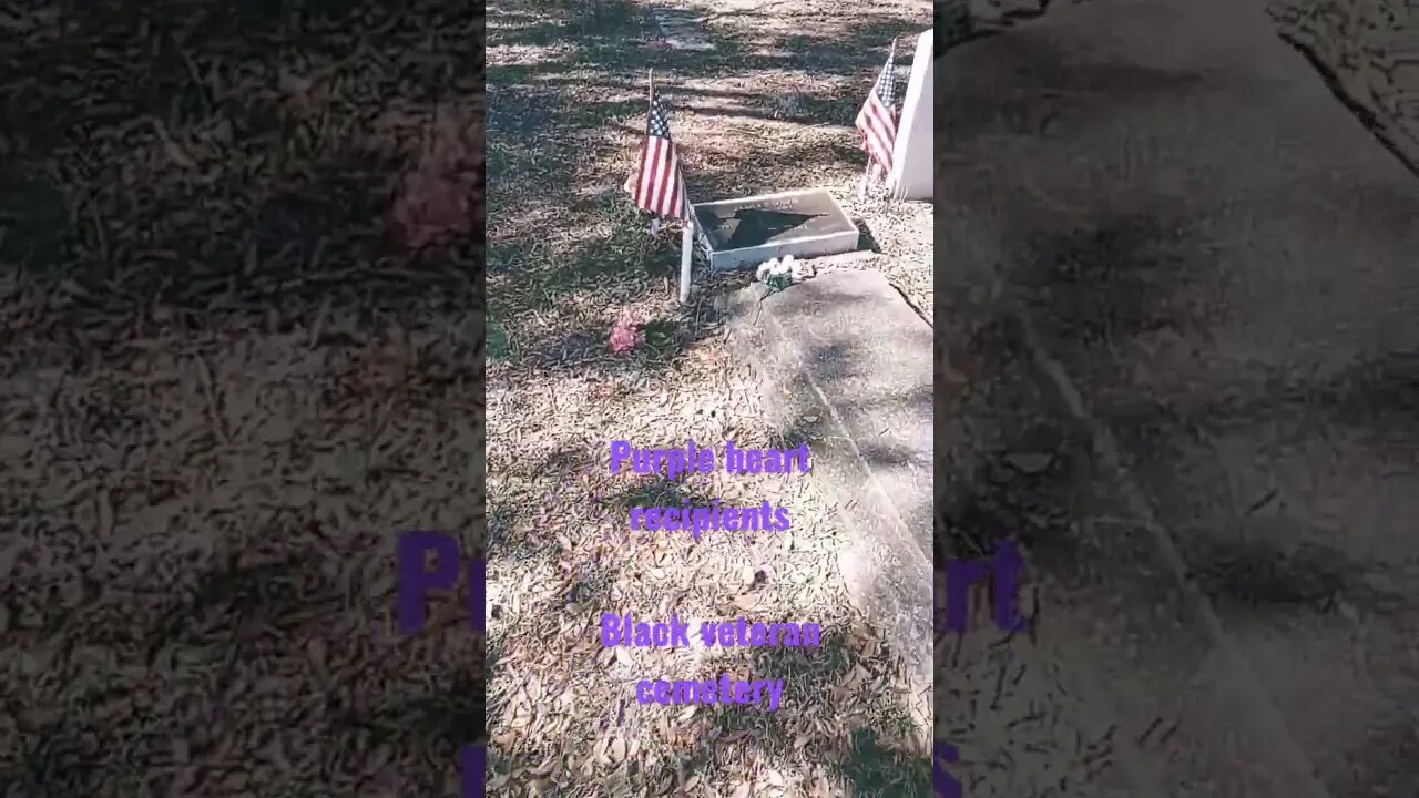 #taphophile #veterancemetery #blackveterancemetery #cemeterylovers #graves
