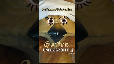 Sunshine Underground #shorts