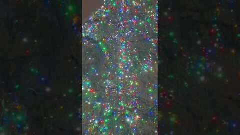 A Dickens of A Christmas Tree 🎄