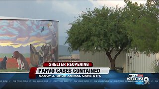 Nancy J. Brua Animal Care Center to reopen after parvo cases