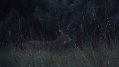 REDEMPTION! Youth First Deer!