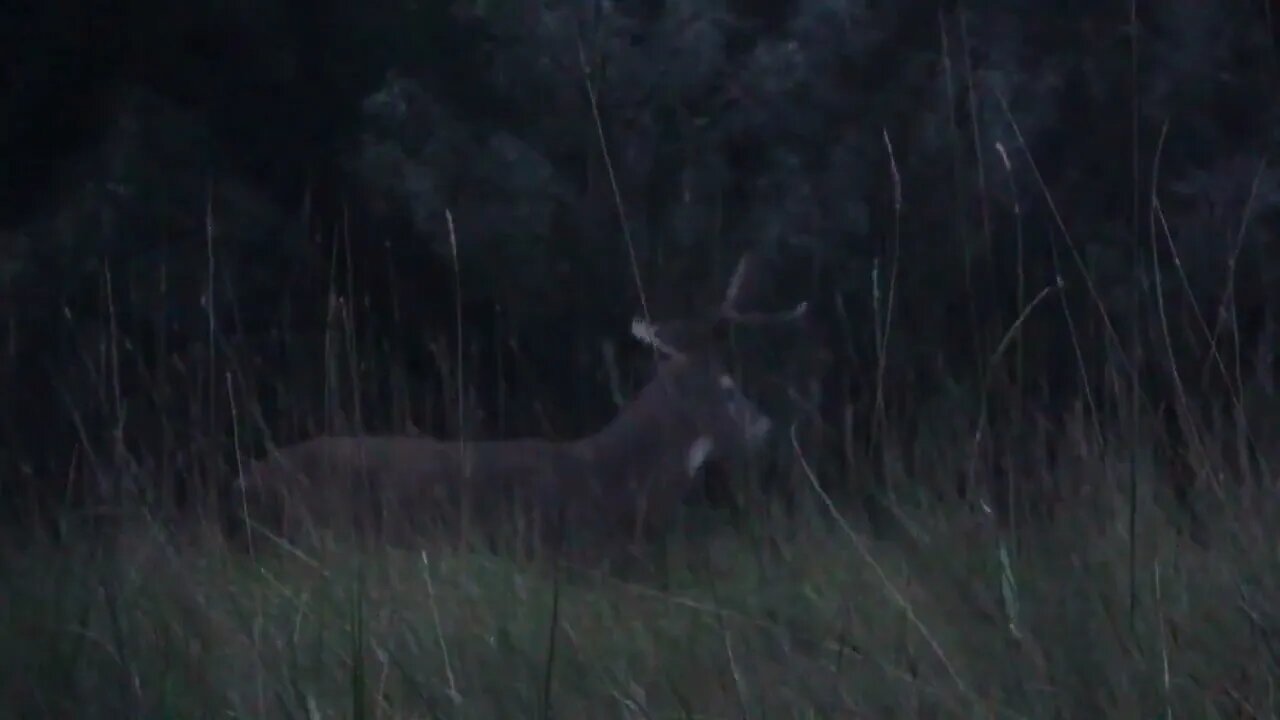 REDEMPTION! Youth First Deer!