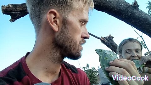 Searching for wild edibles and hacking down destructive tree