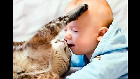 Scary Cat Saves Baby From This Babysitter