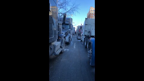 Freedom Convoy Ottawa Jan 29, 2022 - Resistance Becomes Duty