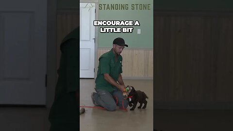 The Power of Tug Of War