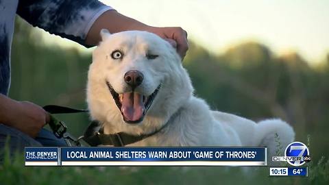 Colorado 'Game of Thrones' fans abandon Huskies and Malamutes