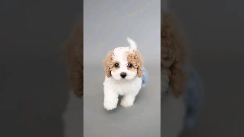 I put something like this in every video now. 🥰