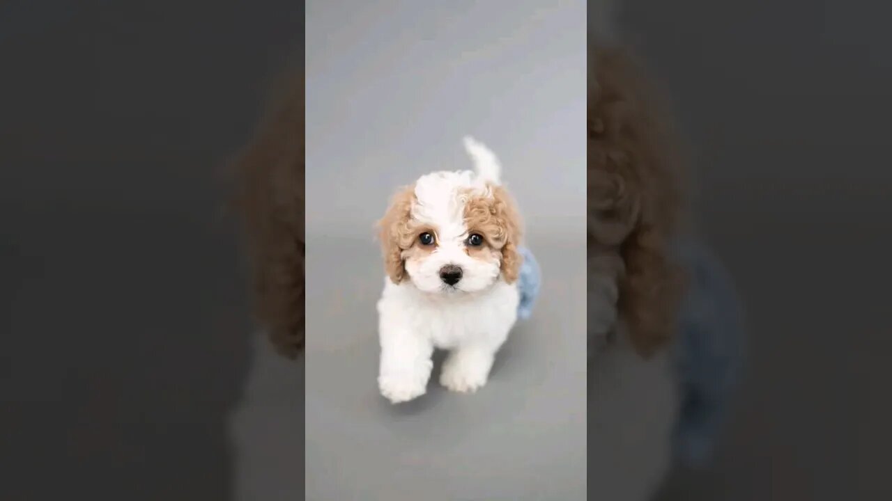 I put something like this in every video now. 🥰