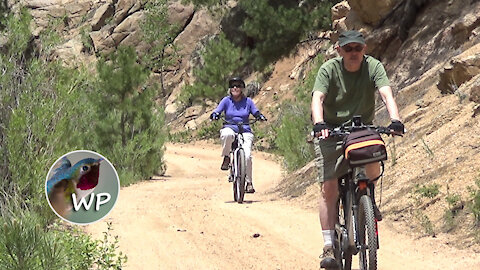 Biking Buffalo Creek to Wellington Lake, Colorado