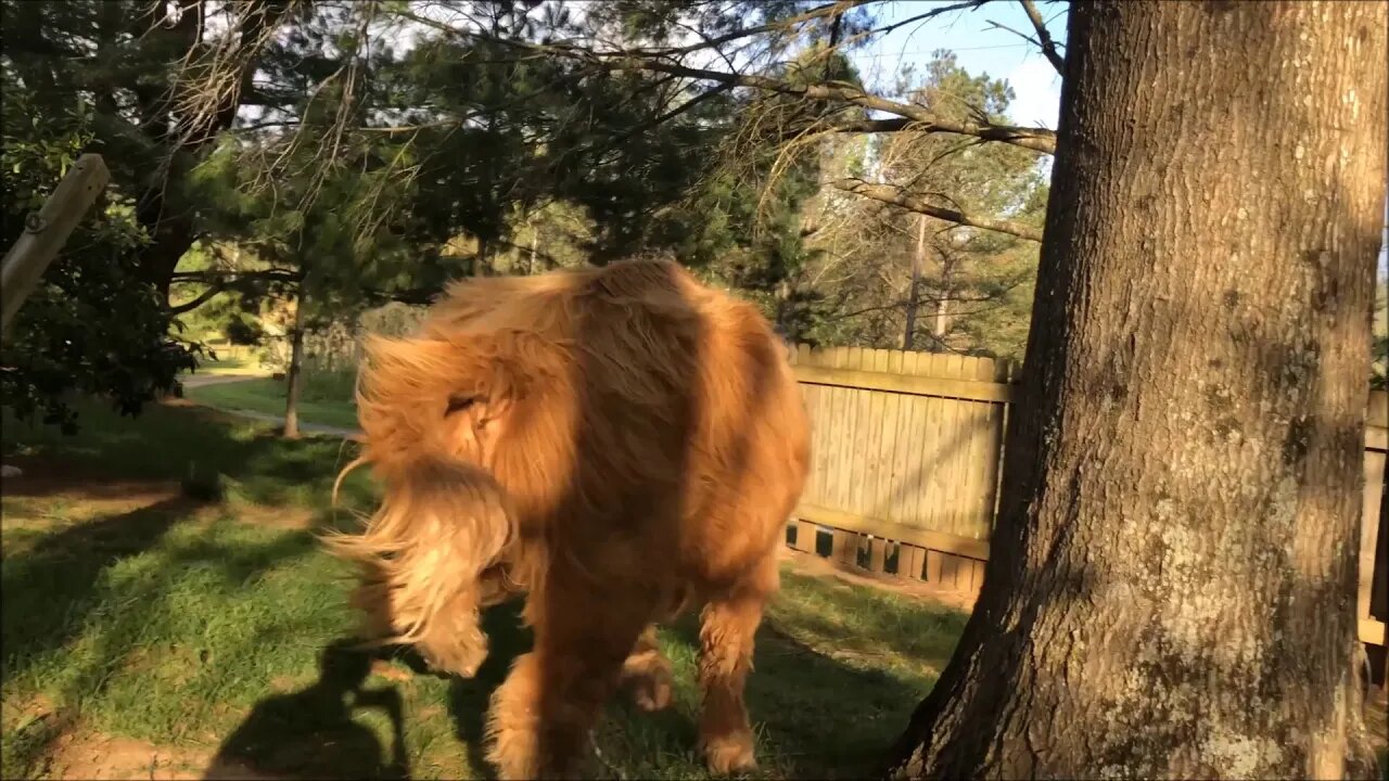 Now you see me, now you don't
