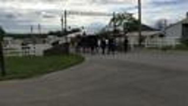 /slicer-videos/wtvf/IMG_5741.MOV
