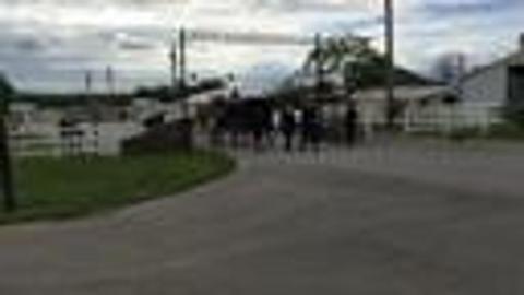 /slicer-videos/wtvf/IMG_5741.MOV