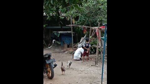 MUST WATCH NON STOP VIDEO MUST WATCH NEW FUNNY VIDEO 2021 || |
