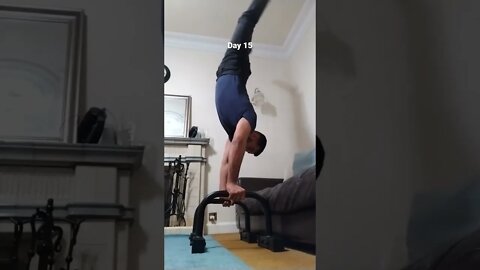 Day 15 - Learning How To Do Handstand Push Ups
