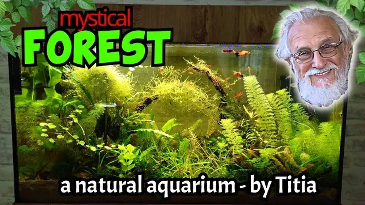A Simple Formula for A Perfect Natural Substrate