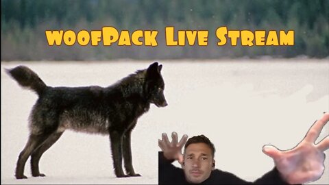 Woof Pack Very Seventh live-Stream!