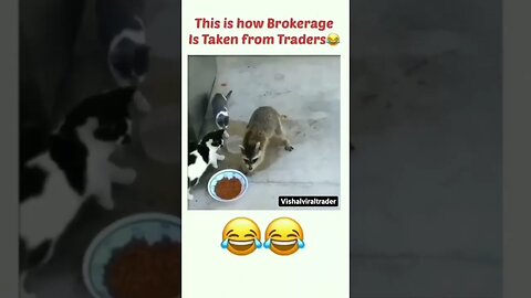 Funny 🤣🤣🤣🤣 #Shorts #shortspetsvideos