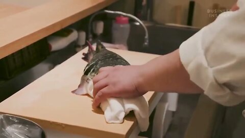 Why Puffer Fish Is So Expensive 6