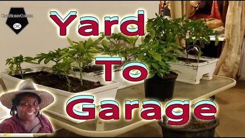 Yard To The Garage