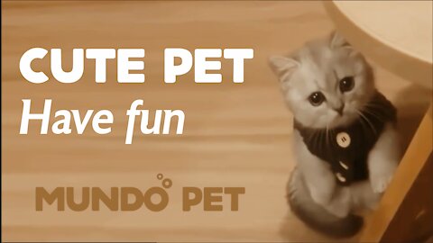 MUNDO PET