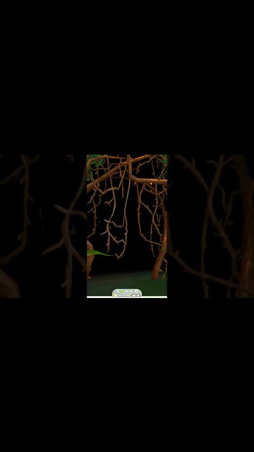 Exploring the Brambles - how to find the Granite Falls hermit #shorts