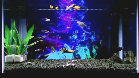 Relaxing Drum Meditation Remix