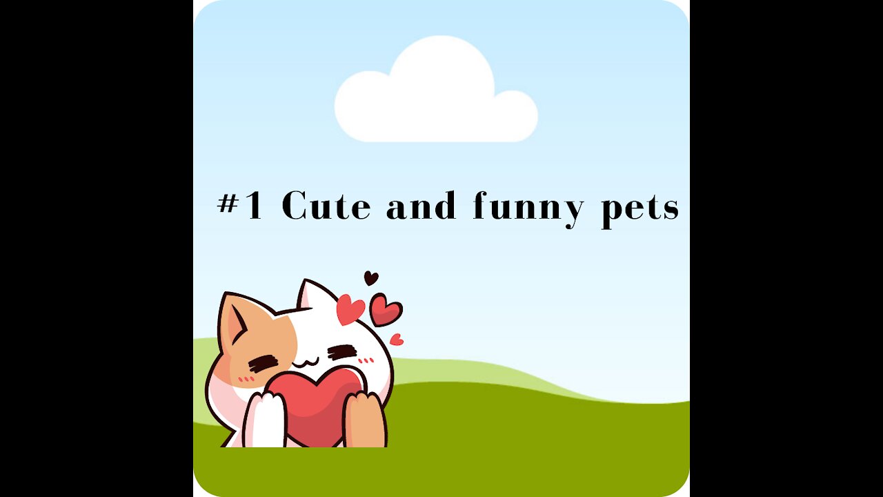 #1 Cute And Funny Pets compilationđź’—
