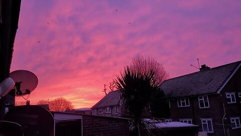 Pink Sky