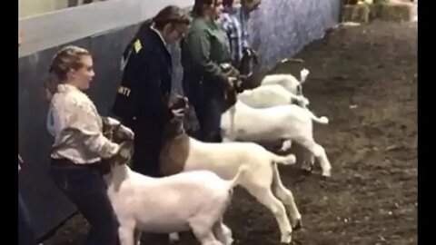 2022 BWF Goat Show