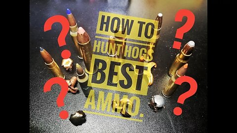 HOW TO HOG HUNT. WHAT AMMO??