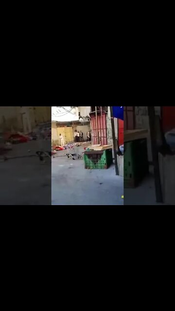 19 de novembro de 2022