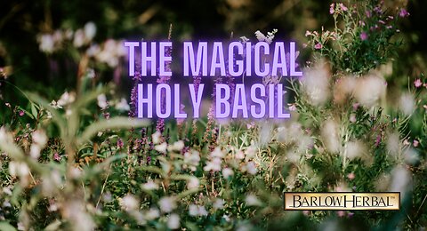The Health Benefits of Holy Basil