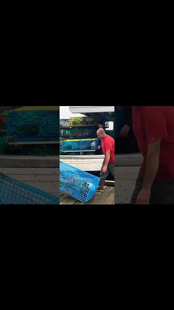 LOBSTERMEN Asked If me and the boys could load his vessel.#lobsterman #lobster #boat #Maine #lübeck