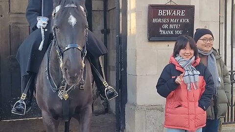 keeping an eye on the horse #horseguardsparade
